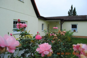 Ferienhaus Nahe des Leipziger Neuseenlandes